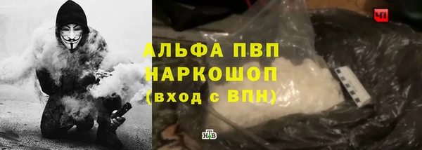 дживик Арсеньев