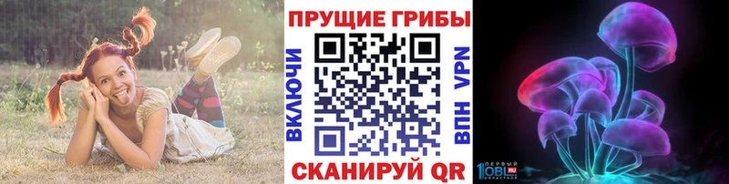 Псилоцибиновые грибы GOLDEN TEACHER  Пестово 